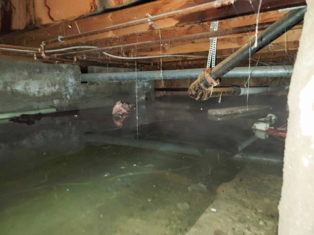 Best Water damage restoration cost  in Barton, NM