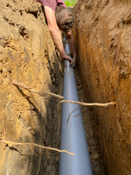 Best Flood damage cleanup  in Barton, NM
