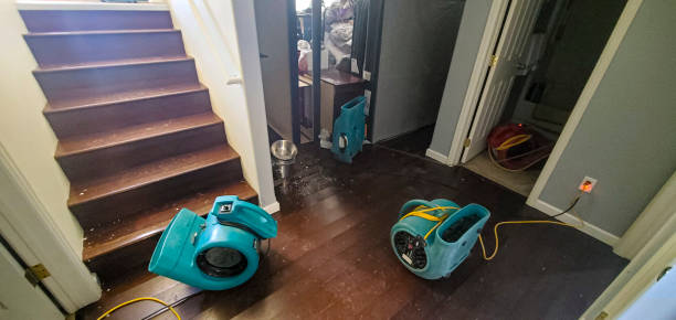  Barton, NM Water damage restoration Pros