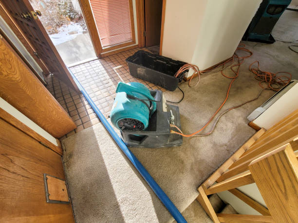 Best Ceiling water damage repair  in Barton, NM