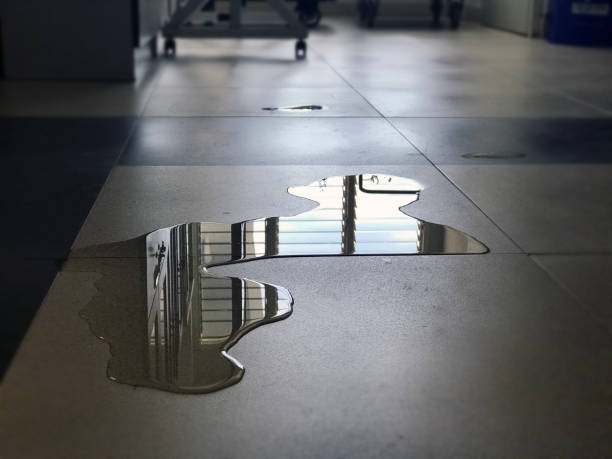 Best 24-hour water damage restoration  in Barton, NM