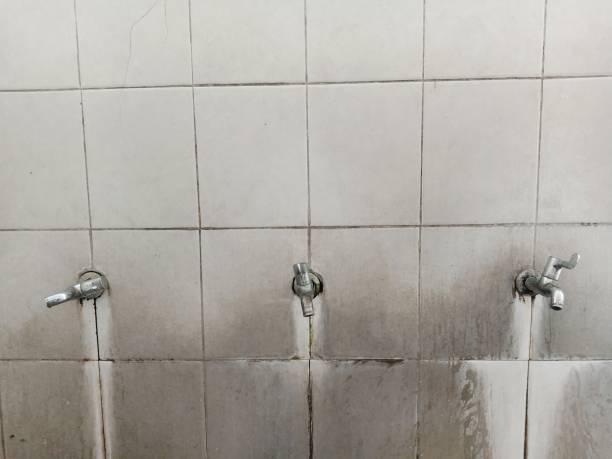 Best Basement water damage restoration  in Barton, NM