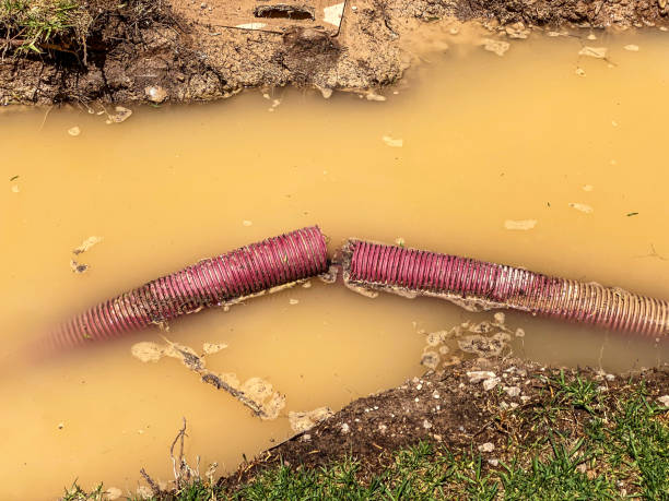Professional Water damage restoration in NM
