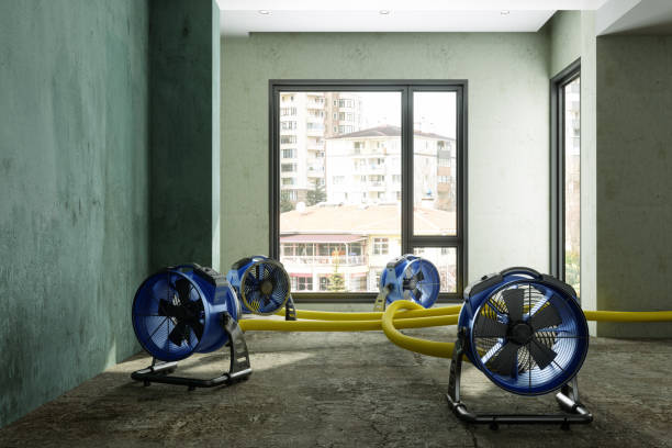 Water damage restoration insurance claims in NM