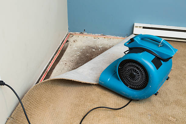 Best Flooded house restoration  in Barton, NM